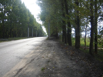 Остановка ТСБ в Ярославле