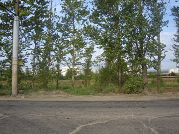 Остановка Битумный завод в Ярославле