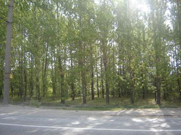 Остановка Стройучасток № 2 в Ярославле