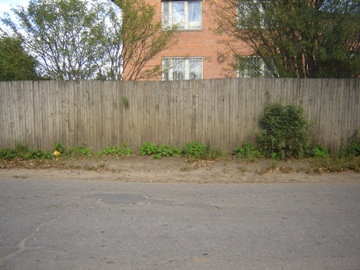 Остановка Борки-3 в Ярославле