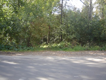 Остановка 1-я Союзная в Ярославле