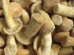 Грибы опята целые замороженные