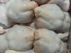 ООО "ИМПЕРИЯ" - мясная продукция оптом от производителя