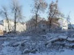 Представители Ярославской Епархии извинились перед мэрией за вырубленные деревья