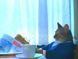 График публикации новостей на Яркоме