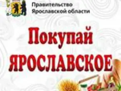 В субботу ярославцы приглашаются на социальную ярмарку