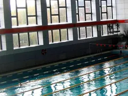 Платная парковка может появиться у бассейна «Лазурный»