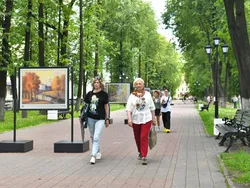 В Ярославле начала работу уличная выставка