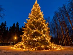 Готовим Ярославль к Новому году!