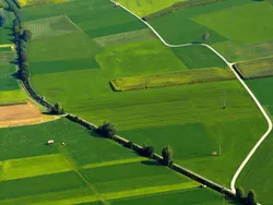 Управление Росреестра по Ярославской области  информирует!