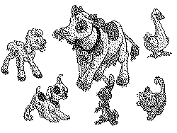 Канис, клиника ветеринарной медицины