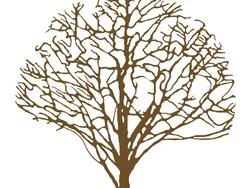 Зелёное искусство