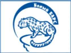 Белый барс, сеть магазинов