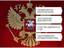 Адвокат Новиков А.А.