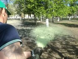 Гидропосев газона