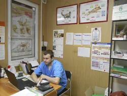 Прием, осмотр и консультации ветеринарных врачей