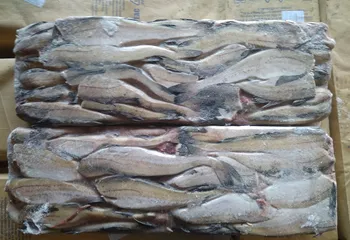 Минтай без головы мор (25+)