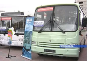 Жители Ярославля «выбрали» автобус