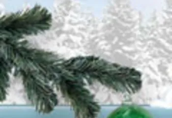 Северная железная дорога подготовилась к Новому году