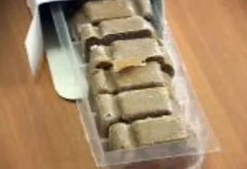 В Ярославской области бешенство под контролем