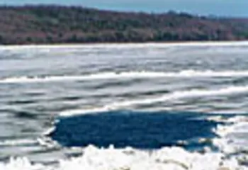 5 февраля у Речного вокзала чуть не утонул человек