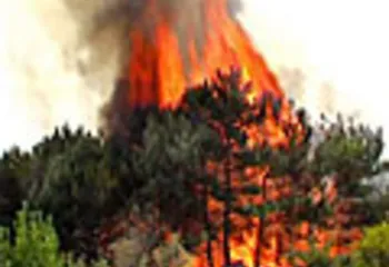 В лесах Ярославской области сохраняется чрезвычайная пожароопасность