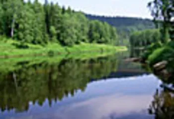 В Переславском районе начали строить курорт «Золотое кольцо»