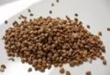 В Ярославле подорожала гречка и другие продукты питания