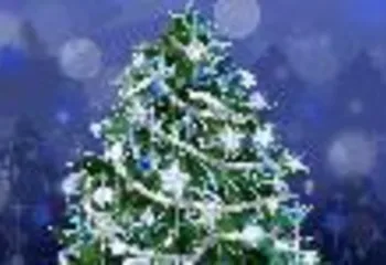 Ярославцы встретят 2011 год с хорошим настроением