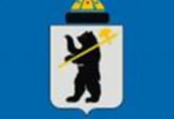 В Ярославле отметят День медведя