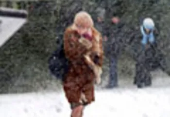 С 15 на 16 марта в области ожидаются сильные порывы ветра