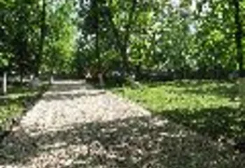 Центральный парк Ярославля станет меньше почти на гектар?