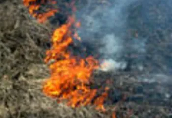 В выходные дни пожарные выезжали на тушение возгораний травы более 90 раз