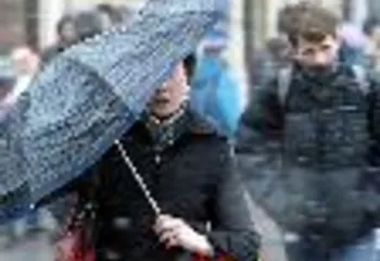 Девять районов Ярославской области пострадали из-за сильного ветра