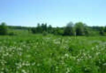 Ярославские многодетные семьи получат земельные участки