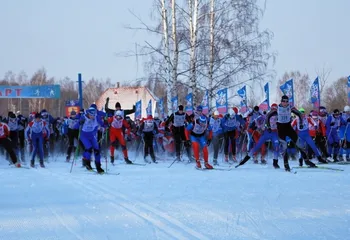 Свыше 2000 жителей Ярославля и области приняли участие в «Лыжне России»