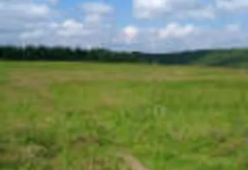 В Ярославле заявления о предоставлении земли рассматривали нескольких лет