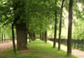 В Ярославле стартовал конкурс проектов по благоустройству парков