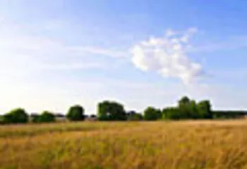 В мае-июне жителям области бесплатно предоставлено в собственность более 60 земельных участков