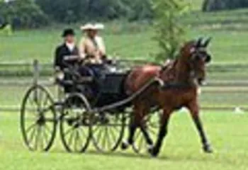 17-19 августа в Ярославле пройдет международный турнир по драйвингу