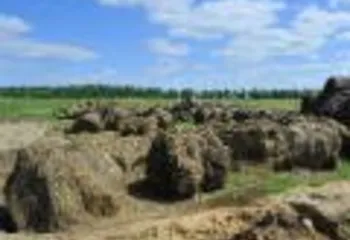 Начинающие ярослаские фермеры получат гранты до полутора миллионов рублей