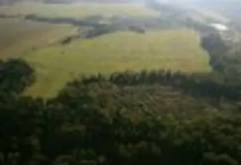 Получение бесплатных земельных участков под ИЖС обманутыми дольщиками будет ускорено