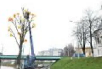 У стен Спасо-Преображенского монастыря Ярославля появилось «чудо-дерево»