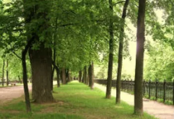 В Ярославле создадут парк «Советского мультфильма»