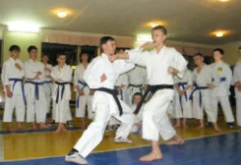 В Ярославле открыли уникальный центр боевых искусств