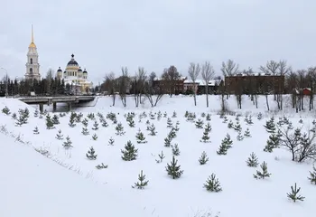 Озеленение Рыбинска продолжается