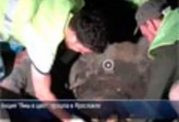 В Ярославле картошку посадили прямо в дорожные ямы