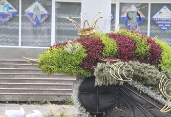 В Рыбинске высадят 150 тысяч цветов