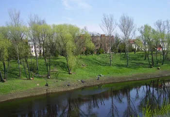 В Рыбинске проведут очистку дна реки Черемухи в районах пляжного отдыха