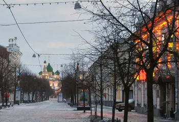 Ярославль уже готовится к Новому году: ёлка найдена